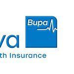 Niva Bupa Health Insurance Company Limited IPO